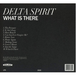 Delta Spirit What Is There CLEAR WITH BLACK MARBLING VINYL LP