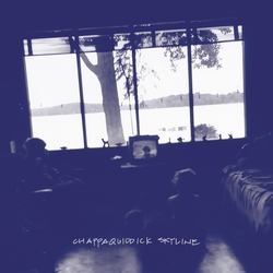 Chappaquiddick Skyline Chappaquiddick Skyline INDIE EXCLUSIVE CLEAR VINYL LP