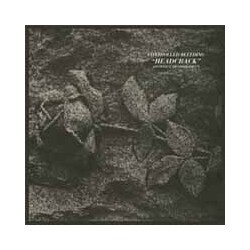 Controlled Bleeding Headcrack ( LP) Vinyl LP