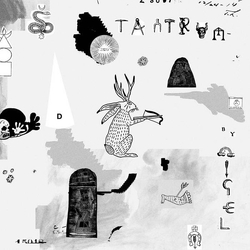 Nigel Tantrum Vinyl LP