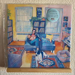 Laura Stevenson Laura Stevenson INDIE EXCLUSIVE YELLOW VINYL LP