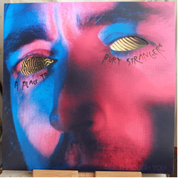 A Place To Bury Strangers See Through You VINYL LP