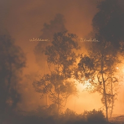 Watchhouse Blindfaller (Clear Orange VINYL LP) 