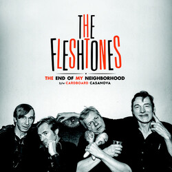 Fleshtones The End Of My Neighborhood Vinyl 7