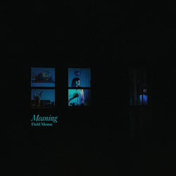 Field Mouse Meaning Vinyl LP