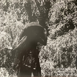 Moor Mother Analog Fluids Of Sonic Black Holes Vinyl LP