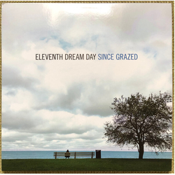 Eleventh Dream Day Since Grazed Vinyl LP