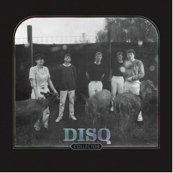 Disq Collector ( LP) Vinyl LP