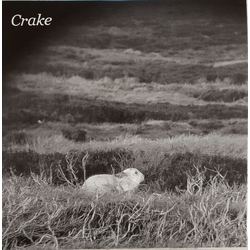Crake Enough Salt (For All Dogs) B/W Gef Vinyl 7In