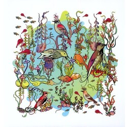 John Zorn The Dreamers - The Gentle Side Vinyl LP