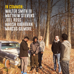 Matthew Stevens & Walter Smith Iii In Common ( LP) Vinyl LP