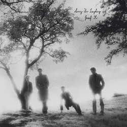 Josef K Sorry For Laughing ( LP) Vinyl LP