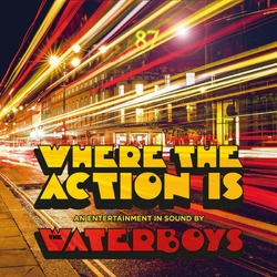 Waterboys The Where The Action Is VINYL LP