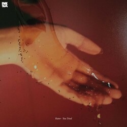 Hater You Tried Vinyl LP