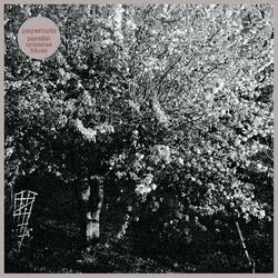 Papercuts Parallel Universe Blues (White Vinyl) Vinyl LP