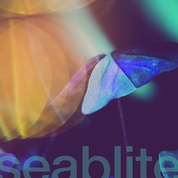 Seablite Breadcrumbs (7In ) Vinyl 7In