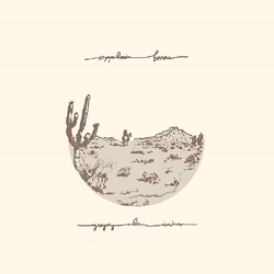 Gregory Alan Isakov Appaloosa Bones VINYL LP