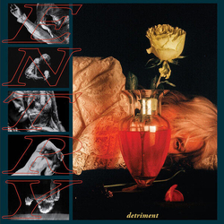 Entry Detriment VINYL LP