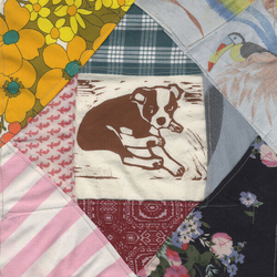 Mapache Roscoe's Dream Vinyl 12In X2