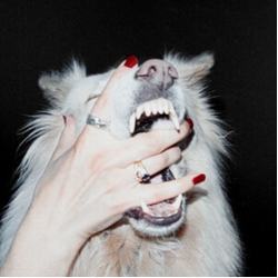Porch Light Hush VINYL LP