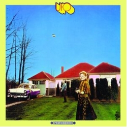 Ufo Phenomenon VINYL LP