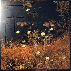 Szun Waves Earth Patterns VINYL LP