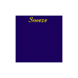 Sneeze Sneeze 41 SONGS IN 47 MINUTES VINYL LP