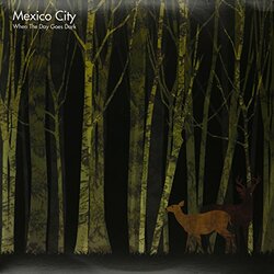 Mexico City When The Day Goes Dark - Vinyl LP Vinyl LP