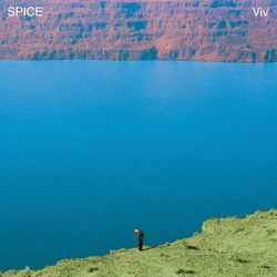 Spice Viv ORANGE & MINT SPLIT COLOURED VINYL LP + POSTER + MP3 DOWNLOAD CODE LIMITED TO 300 COPIES