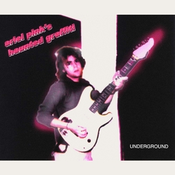 Ariel Pink'S Haunted Graffiti Underground VINYL 2LP + INSERT + MP3 DOWNLOAD CODE WITH OBI-STRIP