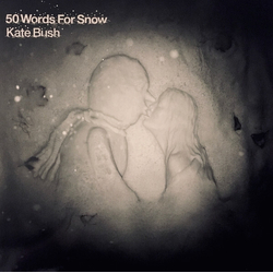 Kate Bush 50 Words For Snow REMASTERED 180GM VINYL 2LP + BOOKLET