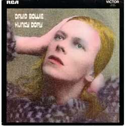 David Bowie Hunky Dory 50TH ANNIVERSARY EDITION LIMITED PICTURE DISC LP + INSERT + POSTER