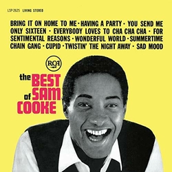 Sam Cooke The Best Of Sam Cooke VINYL LP + MP3 DOWNLOAD CODE
