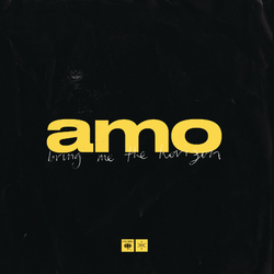 Bring Me The Horizon Amo VINYL 2LP + BOOKLET