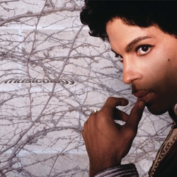 Prince Musicology LIMITED PURPLE VINYL 2LP