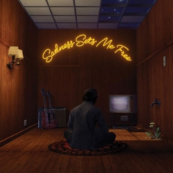 Gruff Rhys Sadness Sets Me Free LIMITED BLACKBERRY VINYL LP IN FOLD-OUT SLEEVE