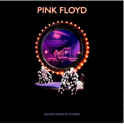 Pink Floyd Delicate Sound Of Thunder REMASTERED 180GM VINYL 3LP + BOOKLET IN DIE-CUT SLIP-CASE