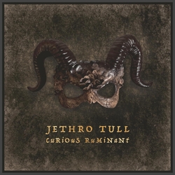 Jethro Tull Curious Ruminant 180GM VINYL LP + BOOKLET