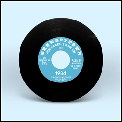 1984 There's A Wrinkle In Our Time VINYL 7INCH