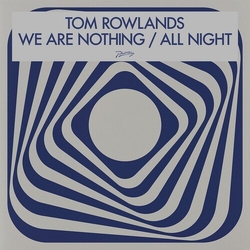 Tom Rowlands We Are Nothing VINYL 12INCH