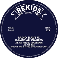Radio Slave Feat Kameelah Waheed All Rize REMIXES II VINYL 12INCH