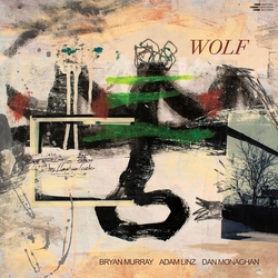 Bryan/Adam Linz/Dan Monaghan Murray Wolf VINYL LP