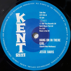 Jesse Davis Hang On In There Girl VINYL 7INCH