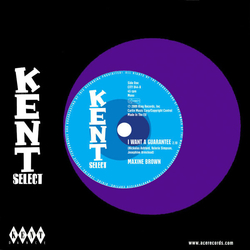 Maxine/Sonny Turner/Sound Limited Brown I Want A Guarantee VINYL 7INCH