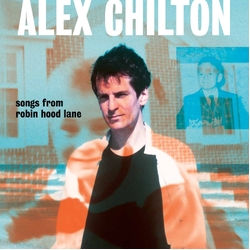 Alex Chilton Songs From Robin Hood Lane VINYL LP