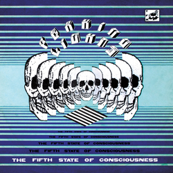 Peaking Lights The Fifth State Of Consciousness VINYL 2LP