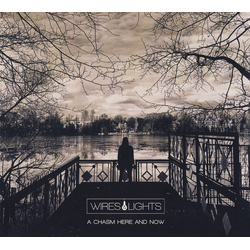 Wires & Lights A Chasm Here & Now VINYL 2LP