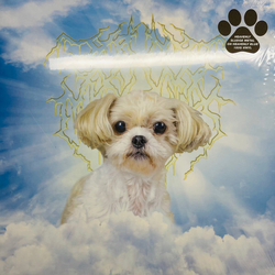 30000 Monkies Honesty Integrity Friendship Passion LIMITED 180GM BLUE & WHITE SWIRL VINYL LP