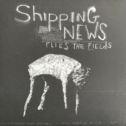 Shipping News Flies The Fields VINYL LP + INSERT