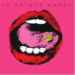 Le Prince Harry A Long Way Down VINYL LP